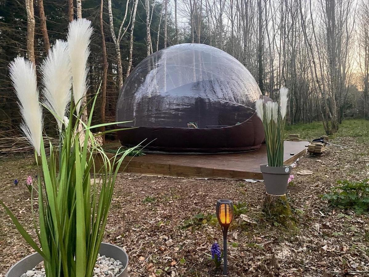 Logement Insolite "Bubble Jungle" Saint-Évarzec Exterior foto