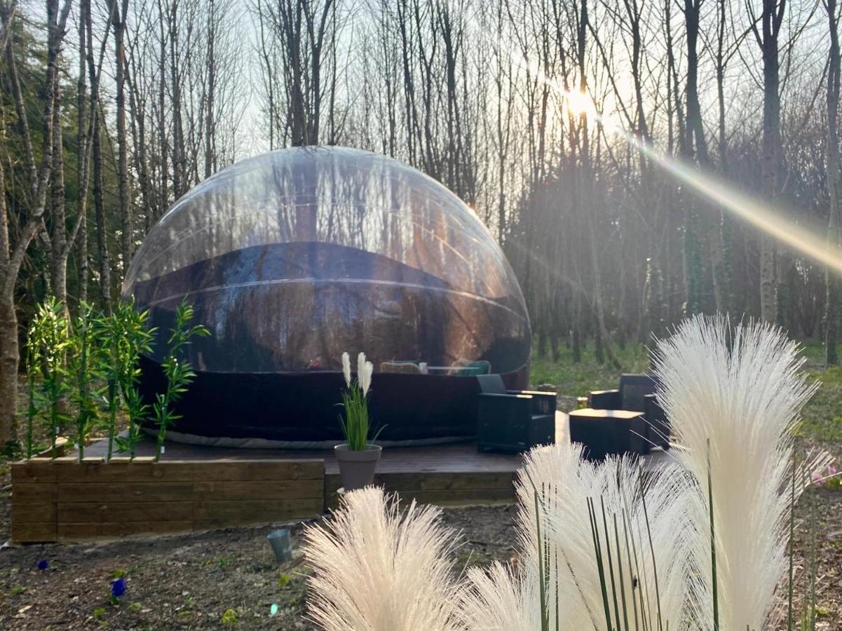 Logement Insolite "Bubble Jungle" Saint-Évarzec Exterior foto